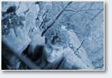 (1/10): 4 Speleomistrzostwa Polski - Wojciesz�w 1993