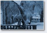 (1/16): 2 Emmet Cross - �l�sk 2004