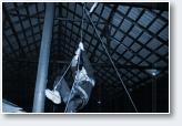 (8/12): 5 Emmet Cross - G�rka Be�chatowska / Kamie�sk - 2007