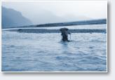 (15/47): wyprawa Chile 2009