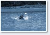 (16/47): wyprawa Chile 2009