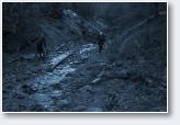 (4/34): Gezno 2010