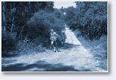 (9/34): half marathon m�awa 2010
