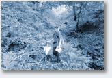 (25/34): Rogaing by Compass - Tr�jstyk - 2010