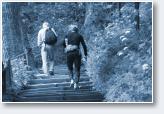 (37/50): Transjura 2011