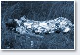 (11/20): Transjura 2012