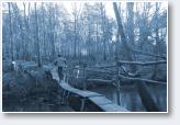 (52/67): Mienia Winter Trail - 2013