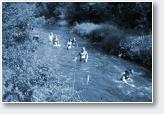 (6/38): Bieg �rodkiem �widra 2014