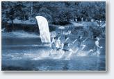 (9/38): Bieg �rodkiem �widra 2014