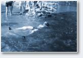 (11/38): Bieg �rodkiem �widra 2014