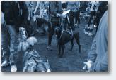 (1/22): Dogtrekking Lubliniec 2016