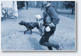 (2/22): Dogtrekking Lubliniec 2016