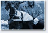 (3/22): Mazowiecka Liga Dogtrekkingu 2016