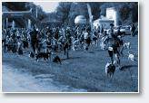(5/22): Dogtrekking Sanok MP 2016