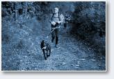 (7/22): Dogtrekking Z�oty Stok 2016