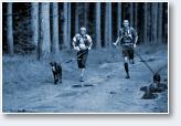 (5/24): Dogtrekking Przesieka 2017