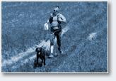 (9/24): Dogtrekking Sanok MP  2017