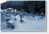 (12/24): Dogtrekking Z�oty Stok 2017