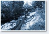 (13/24): Dogtrekking Z�oty Stok 2017