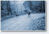 (14/24): Dogtrekking Z�oty Stok 2017