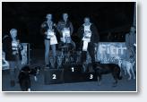 (15/24): Dogtrekking Z�oty Stok 2017