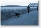 (18/24): Dogtrekking Szczawno Zdr�j 2017