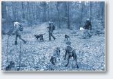(19/24): Funex Orient Dog Run 2017