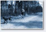 (5/44): Dogtrekking Lubliniec - 2018