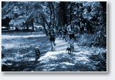 (8/44): Dogtrekking Szczawno Zd�j  - 2018