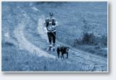 (10/44): Dogtrekking Wis�a - 2018